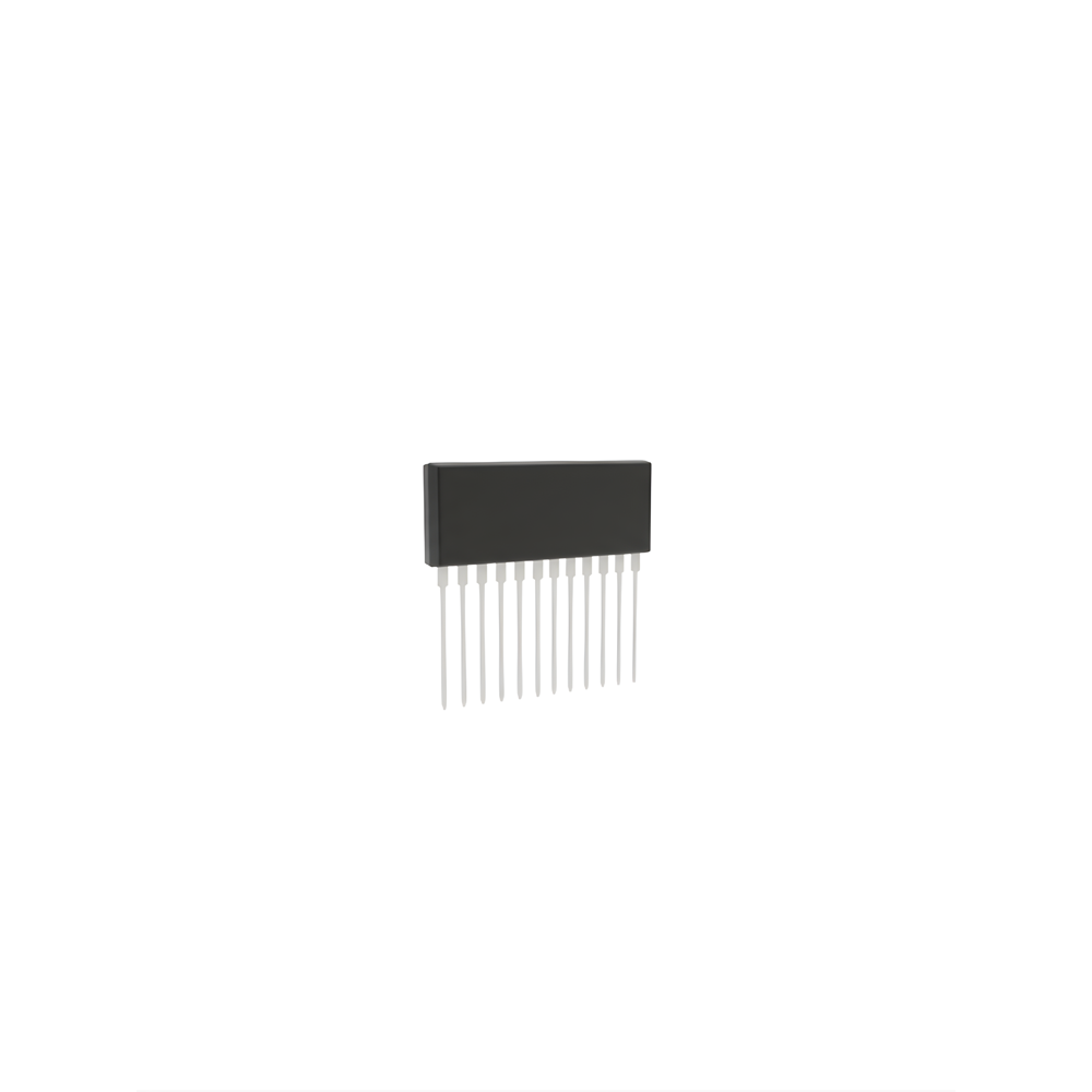 AN5836 Entegre Devre SIP-12G